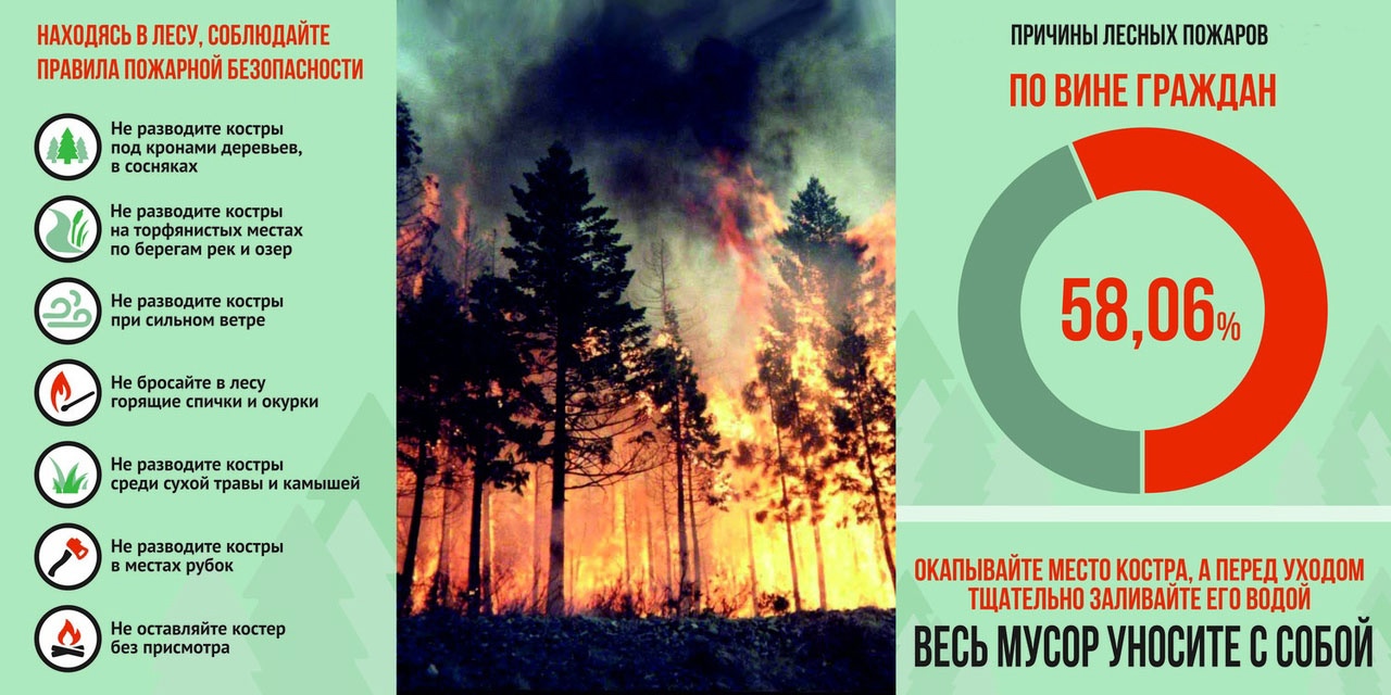 Правила поведения населения при лесных пожарах.